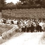 Svetište Gospe Stomorije: Od 18. stoljeća do danas